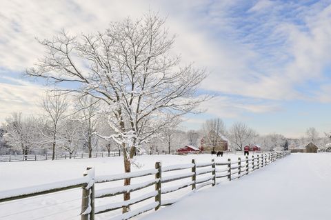 A scenery full of snow